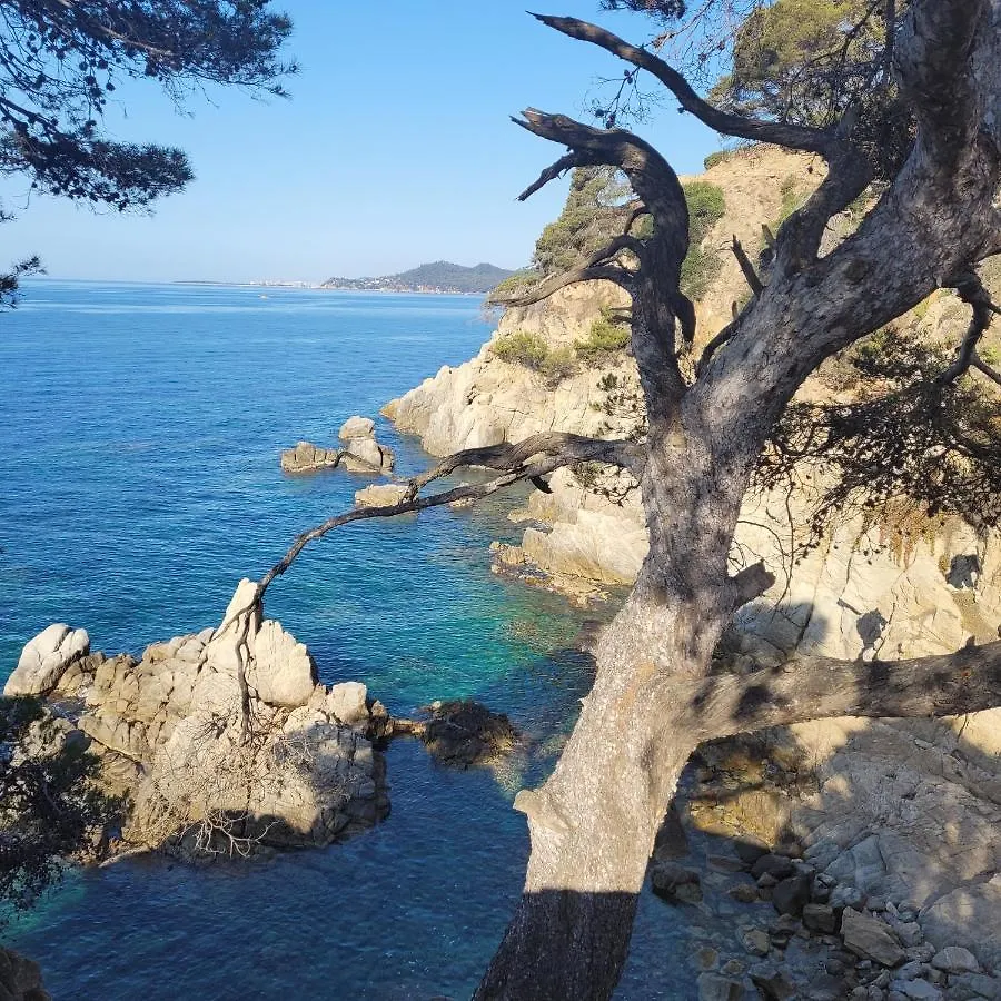 Delante Del Mar Apartment Lloret de Mar 0*,